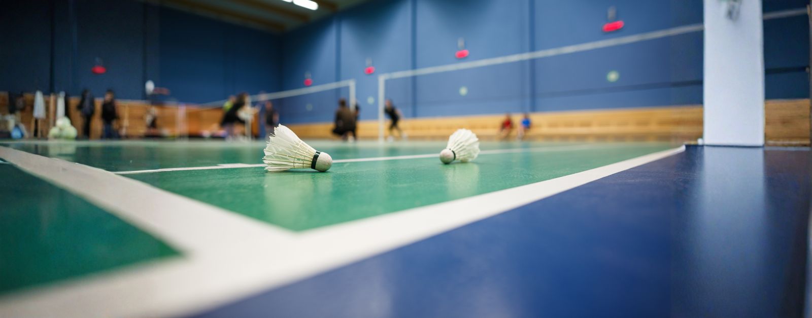 Skyline Badminton Club